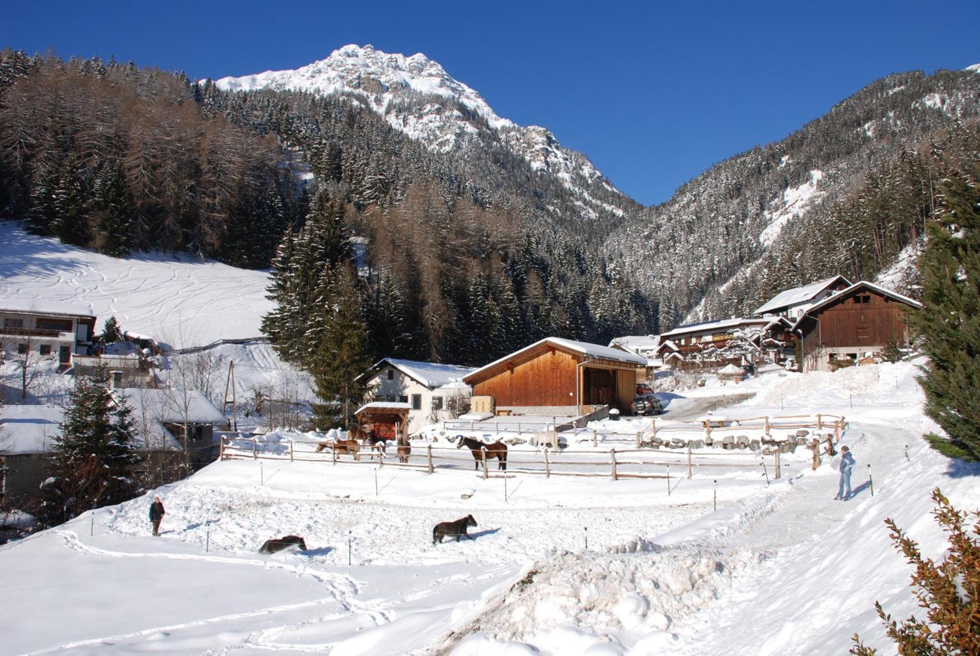 Appartement Kassnhof - Urlaub In Den Bergen à Telfes im Stubai Extérieur photo