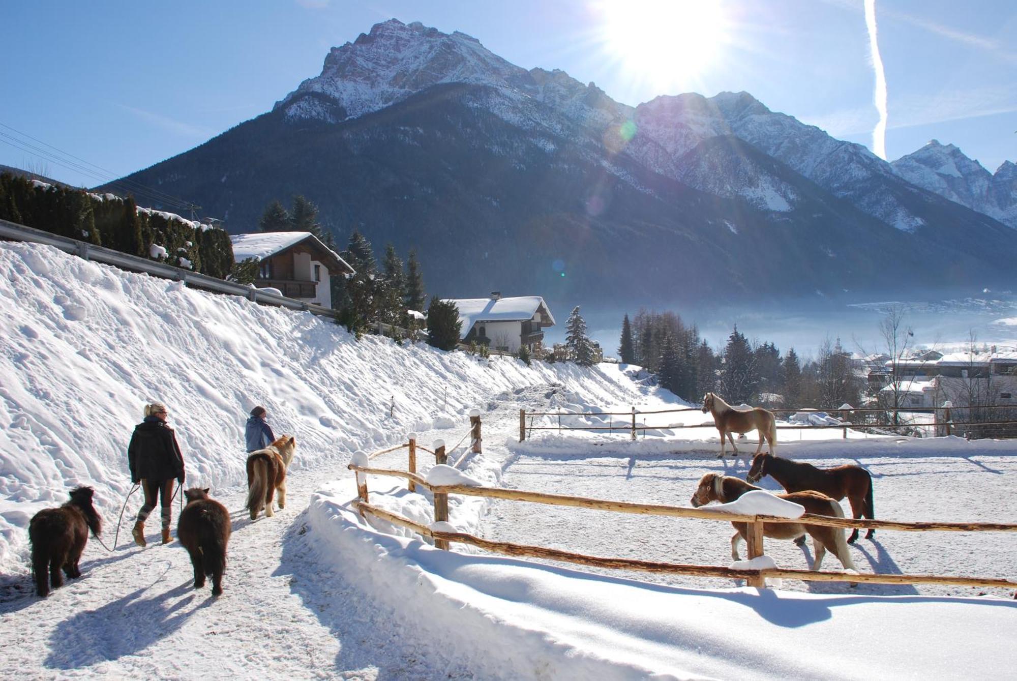 Appartement Kassnhof - Urlaub In Den Bergen à Telfes im Stubai Extérieur photo