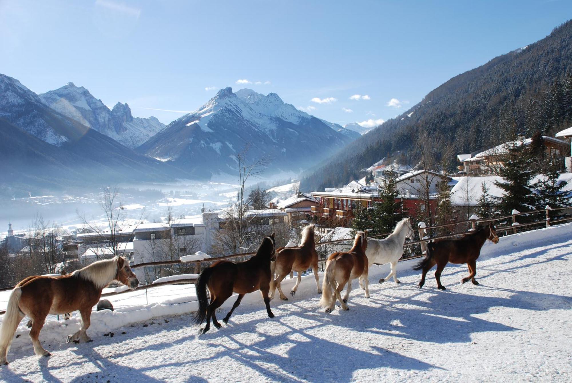 Appartement Kassnhof - Urlaub In Den Bergen à Telfes im Stubai Extérieur photo