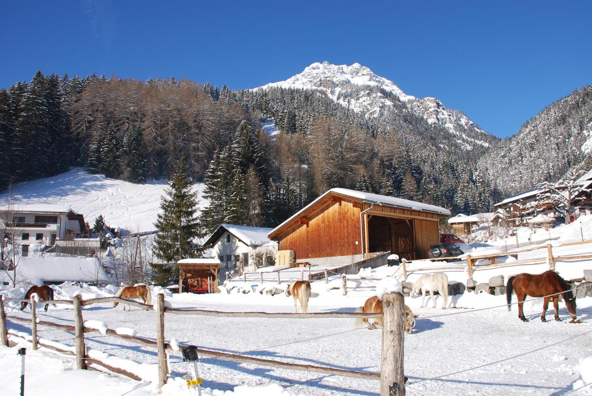 Appartement Kassnhof - Urlaub In Den Bergen à Telfes im Stubai Extérieur photo